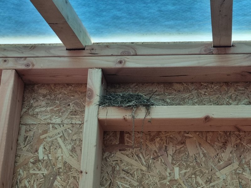 UF site article Cabane jardin correze 11 copie 1